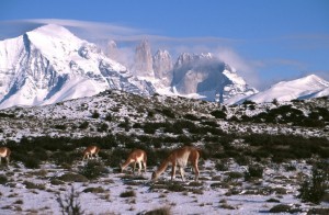 Nationalpark Torres del Paine