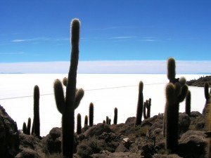 Salar de Uyuni © atacama spirit chile travel