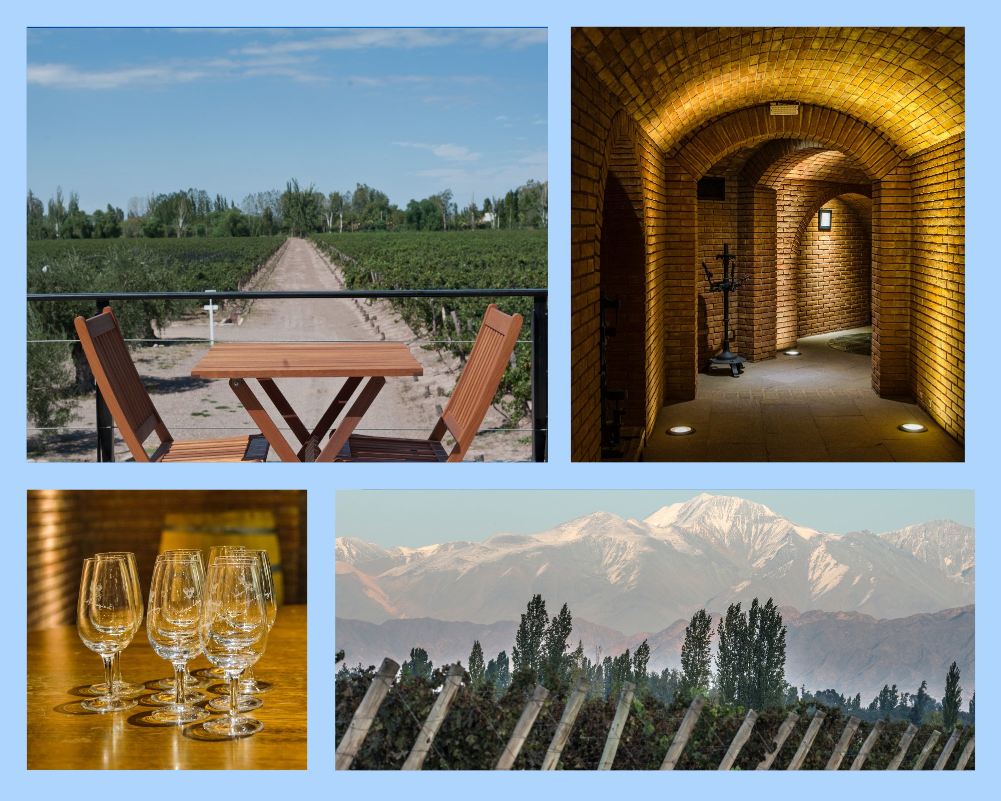 Historische Bodega und Rebzeilen mit Andenblick in Maipú, Mendoza