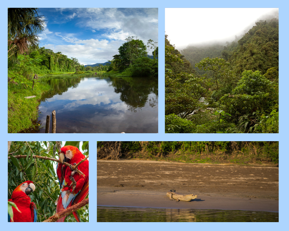 Klima und beste Reisezeit im Manú-Nationalpark: Regenwald, Nebel über den Anden und Flusslandschaft