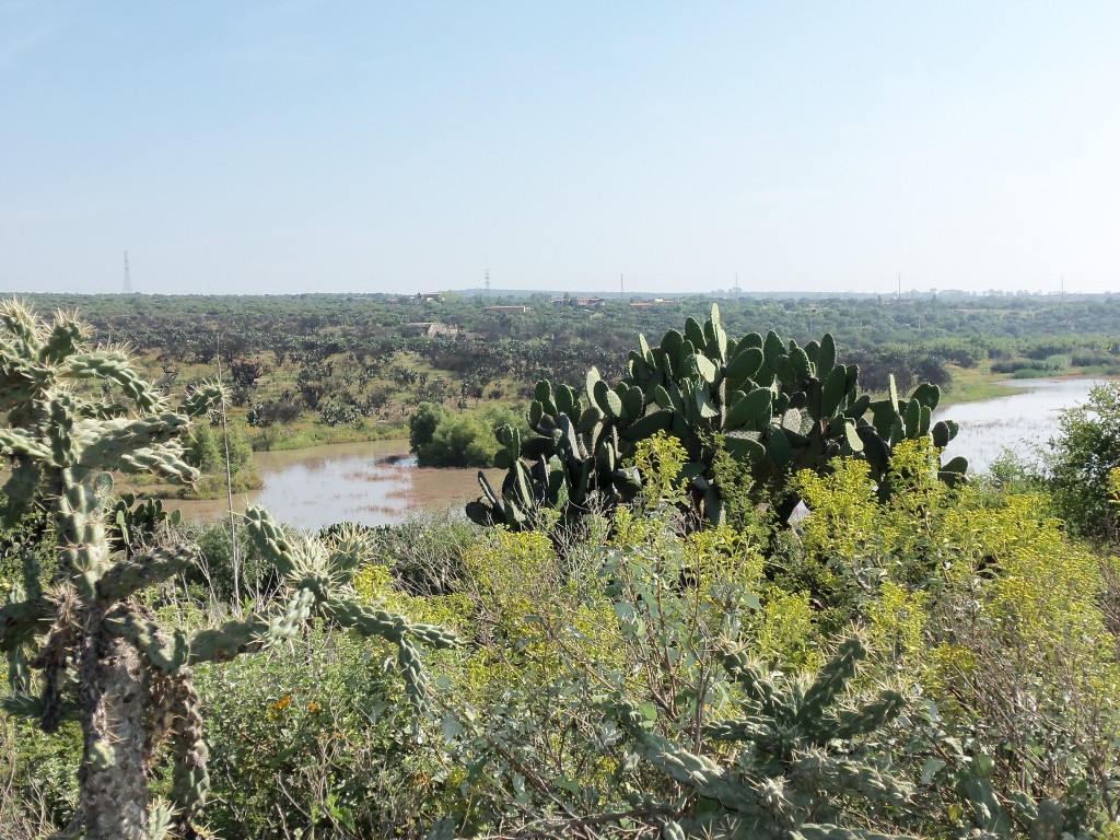 Der botanische Garten bei San Miguel de Allende