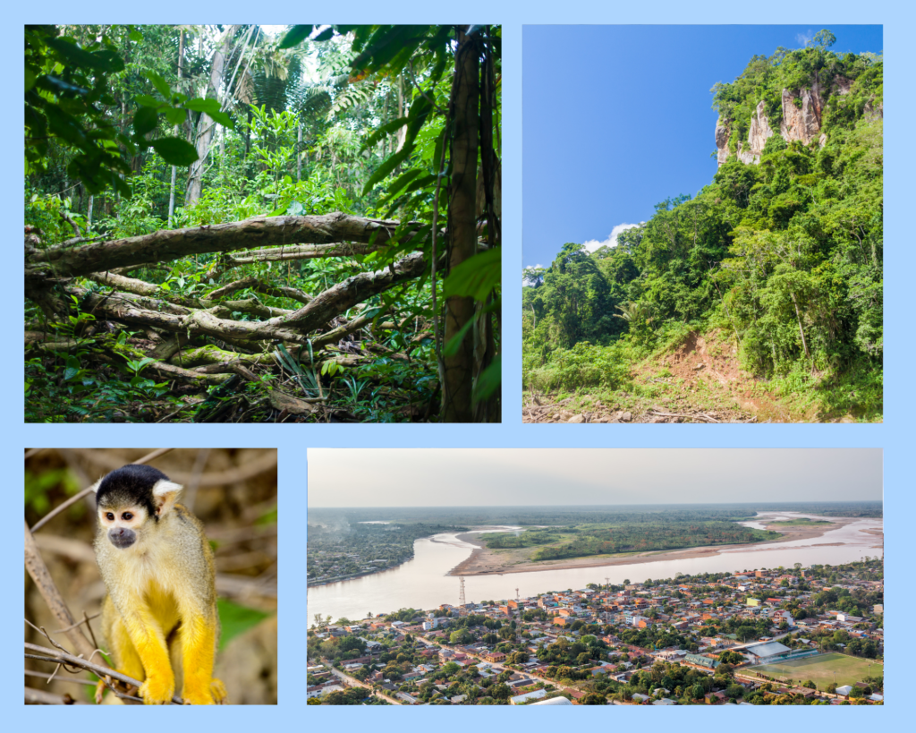 Collage mit tropischem Regenwald, einer bewaldeten Felslandschaft, einem Affen und der Stadt Rurrenabaque in Bolivien