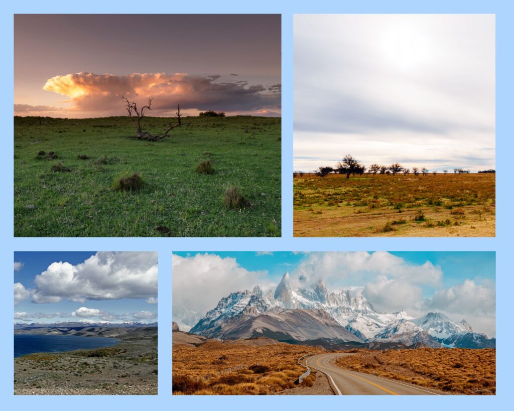 Ganz viel Weite und irgendwann die Anden: die Pampa in Argentinien