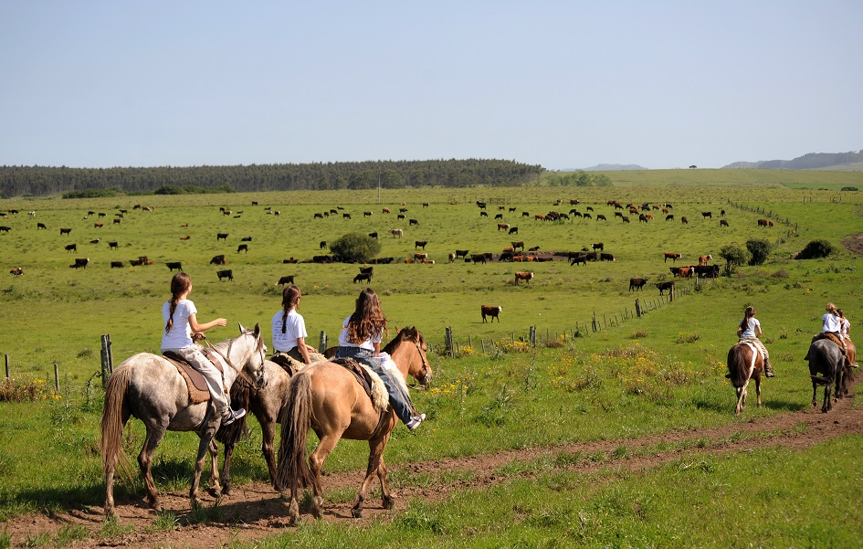 Ausritt in Uruguays Natur © Ministerio de Turismo de Uruguay/ Banco Mintur