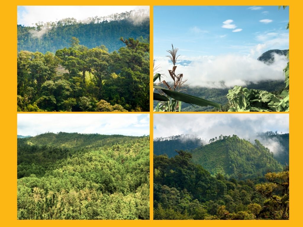 Die Landschaft von Baja Verapaz