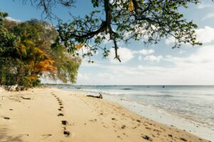 Batts Rock Strand Barbados