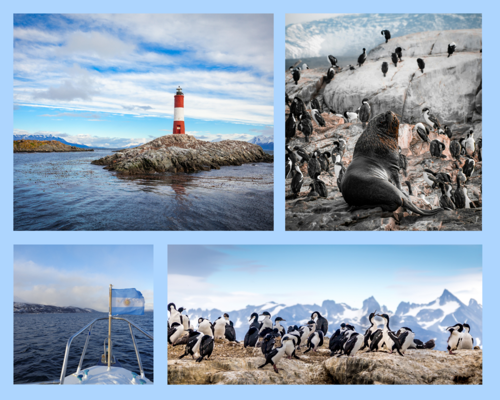 Der Beagle-Kanal ist so Vielseitig: hier zu sehen ein großer Seelöwe auf einem Stein, vor eine Gruppe Pinguine, außerdem eine Magellan-Pinguin Kolonie auf den Beagle-Inseln. Der rot-weise Leuchtturm der aus der Landschaft heraussticht und ein Blick vom Boot aus mit argentlnischer Flagge, die im Wind weht.