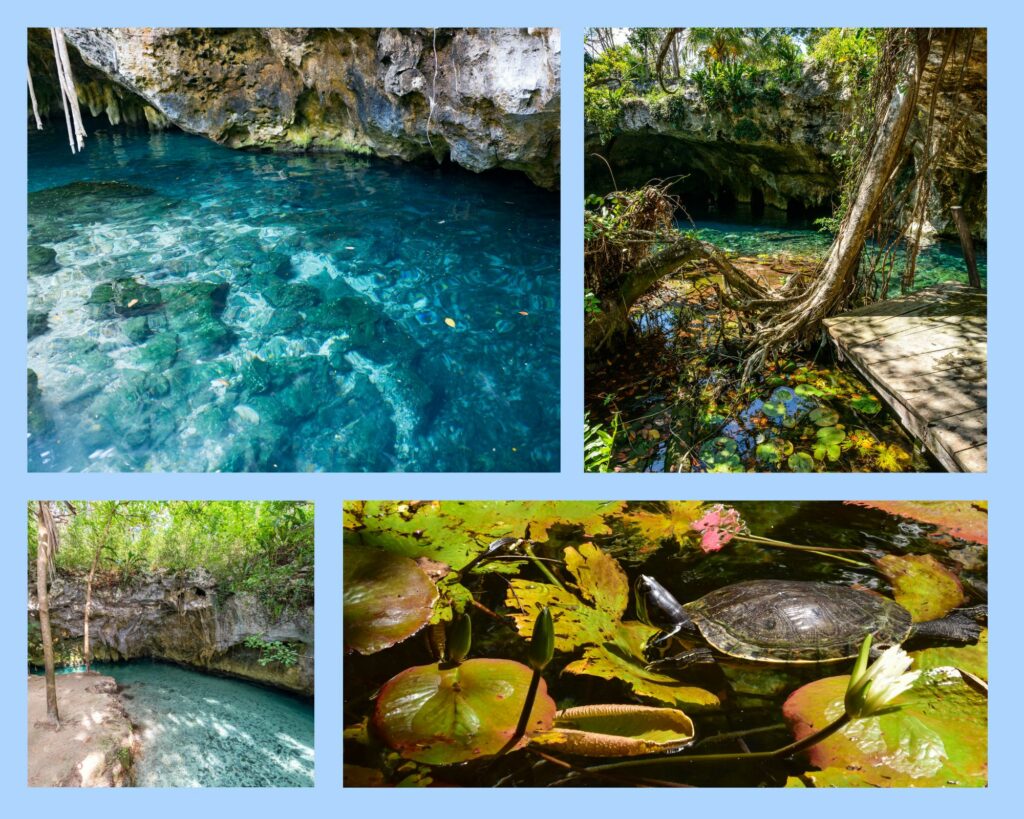 Gran Cenote de Tulum