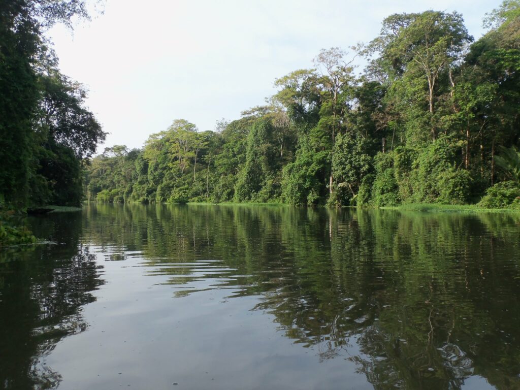 Mit dem Boot durch die Kanäle des Tortuguero Nationalparks