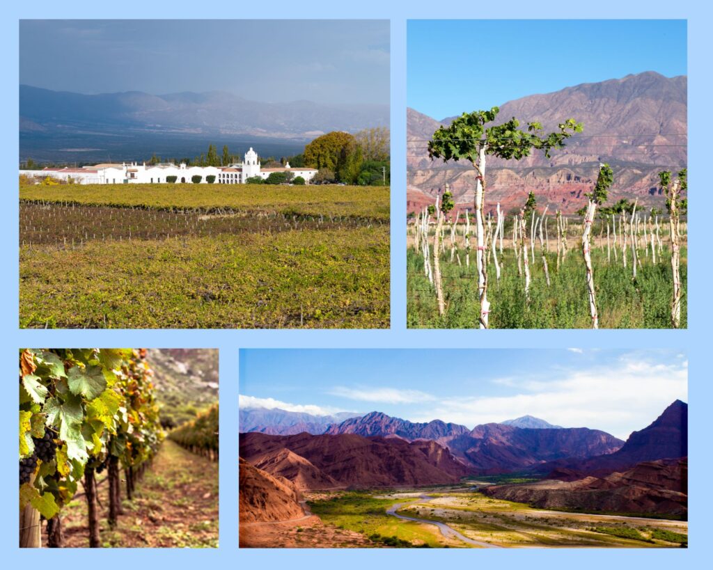 Dieses Bild hat ein leeres Alt-Attribut. Der Dateiname ist Cafayate-1024x819.jpg
Cafayate mit kleinen Weingütern, farbenfrohen Felsenlandschaften und der Quebrada de Cafayate