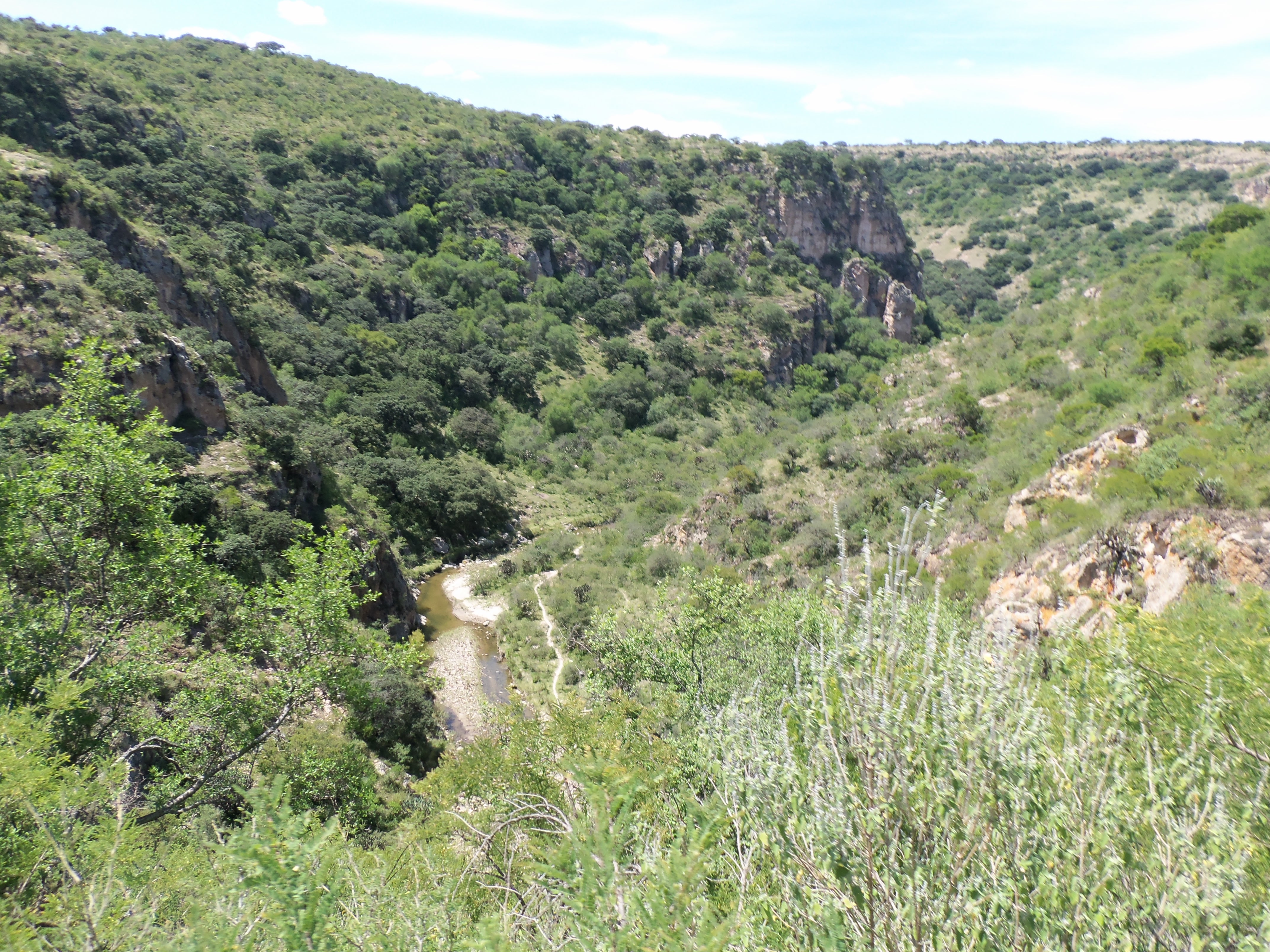 Cañon del Coyote