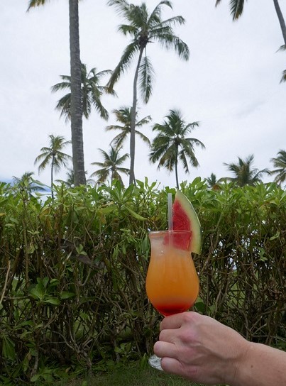 Cocktail vor Palmen auf Dom Rep