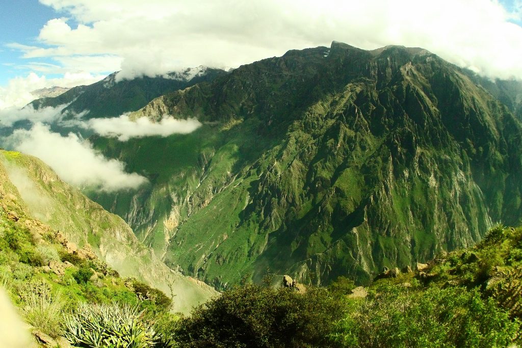 Blick in den Colca Canyon (PromPeru, Juan Manuel Olivera)