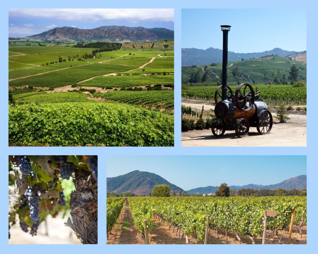 Das Colchagua-Tal mit Weinanbau und Weingütern