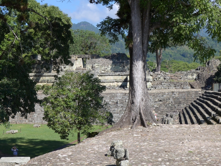 Mayastätte Copán im Regenwald