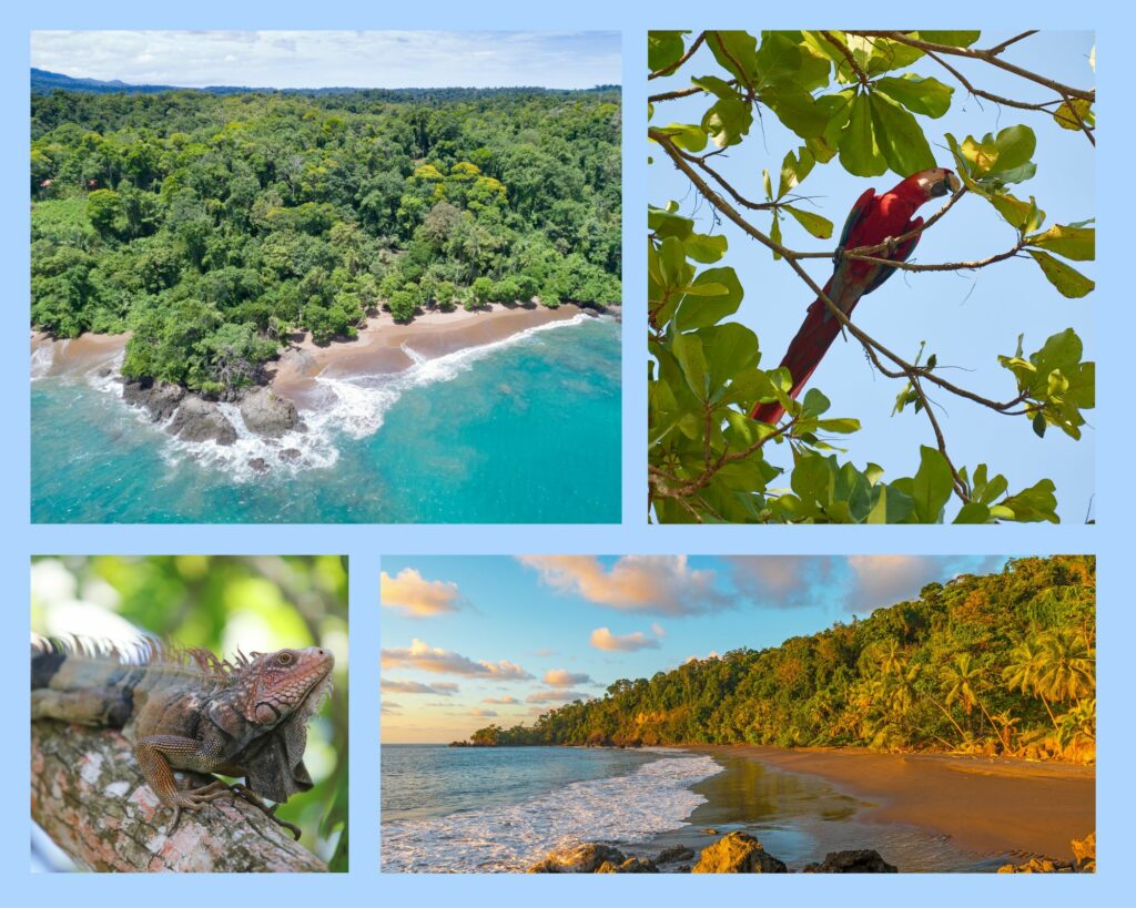Der Corcovado Nationalpark