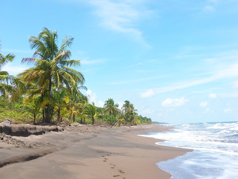 Strand im Tortuguero Nationalpark, Costa Rica
