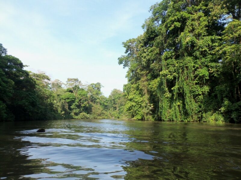 Kanäle im Tortuguero Nationalpark