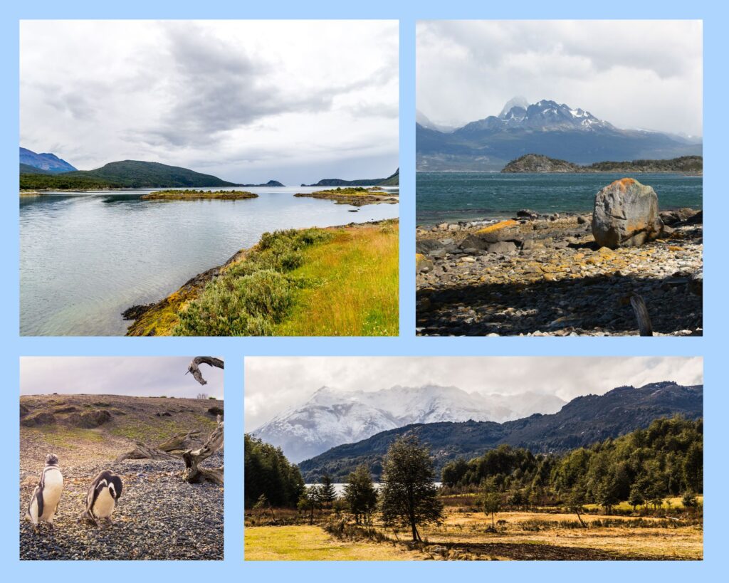 Feuerland ist rau und beeindruckend - nicht zuletzt die putzigen Magellan-Pinguine