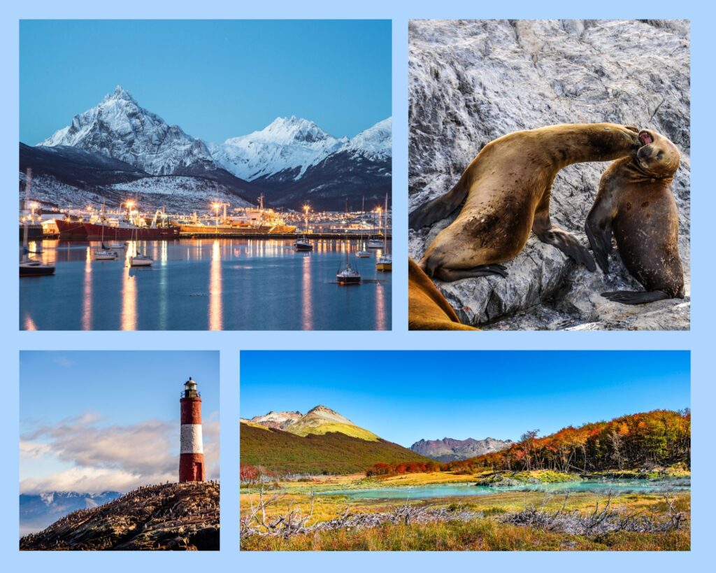 Collage: Ushuaia, Seelöwen im Beagle Kanal, Faro Les Éclaireurs im Beagle Kanal, Landschaft im Tierra-del-Fuego-Nationalpark