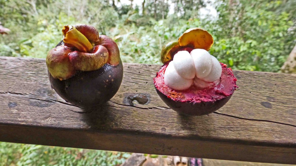 Früchte von Nilo Peçanha