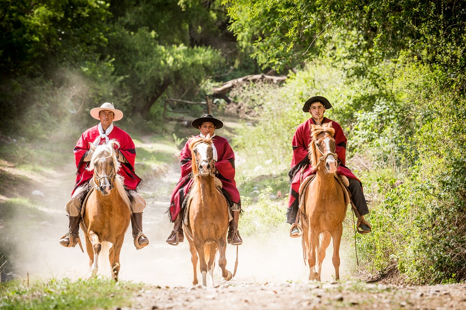 Die Gauchos von Salta (©visitargentina ©visitsalta)