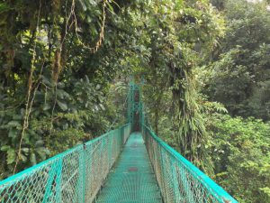 Hängebrücke im Regenwald von Monteverde (© Neviana)