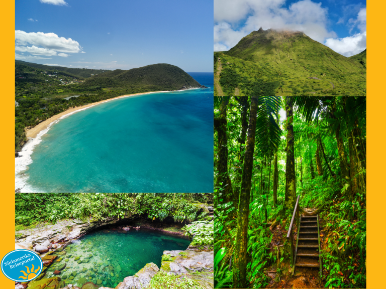 Grüne Oase für Naturentdecker auf Guadeloupe