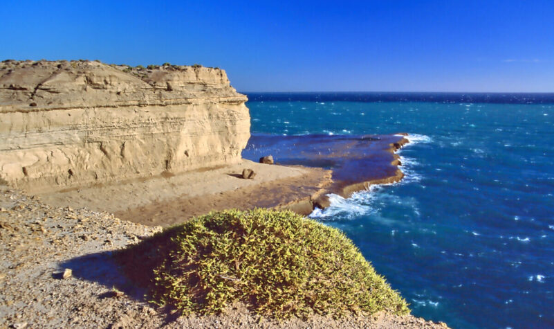 Steilküste bei Puerto Pirámides