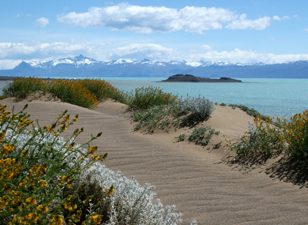 Lago Argentino