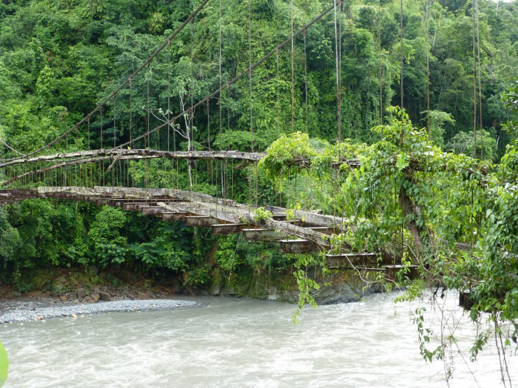 Alte Brücke durch den Dschungel