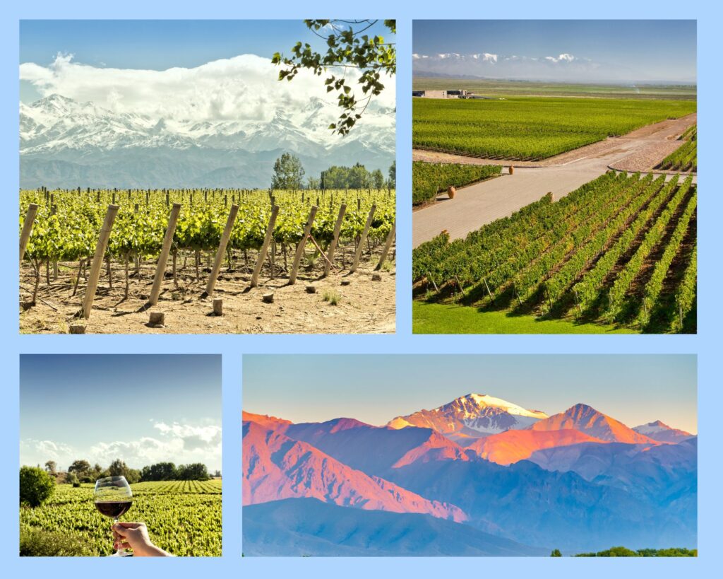Mendoza, das sind weite Weingüter mit den Anden im Hintergrund