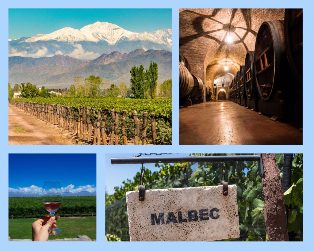 Eindrücke aus der Region Mendoza: Weinanbau vor traumhafter Bergkulisse, Besuch von Weingütern und Verkostung