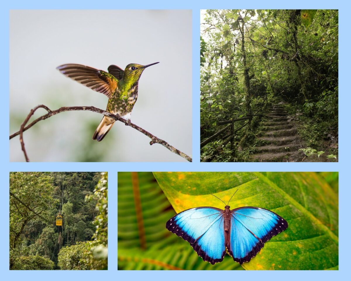Mindo in Ecuador