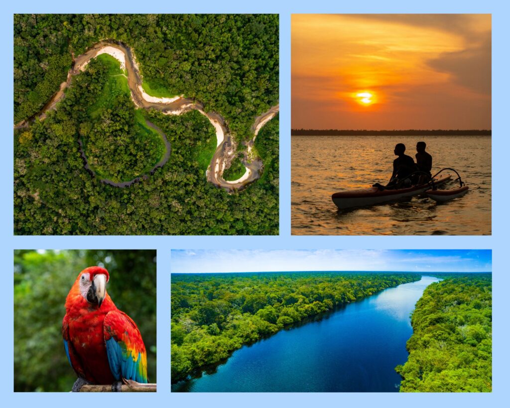 Rundreise Brasilien-Norden Brasiliens mit Amazonas, Regenwald, Flüssen und exotischer Tierwelt