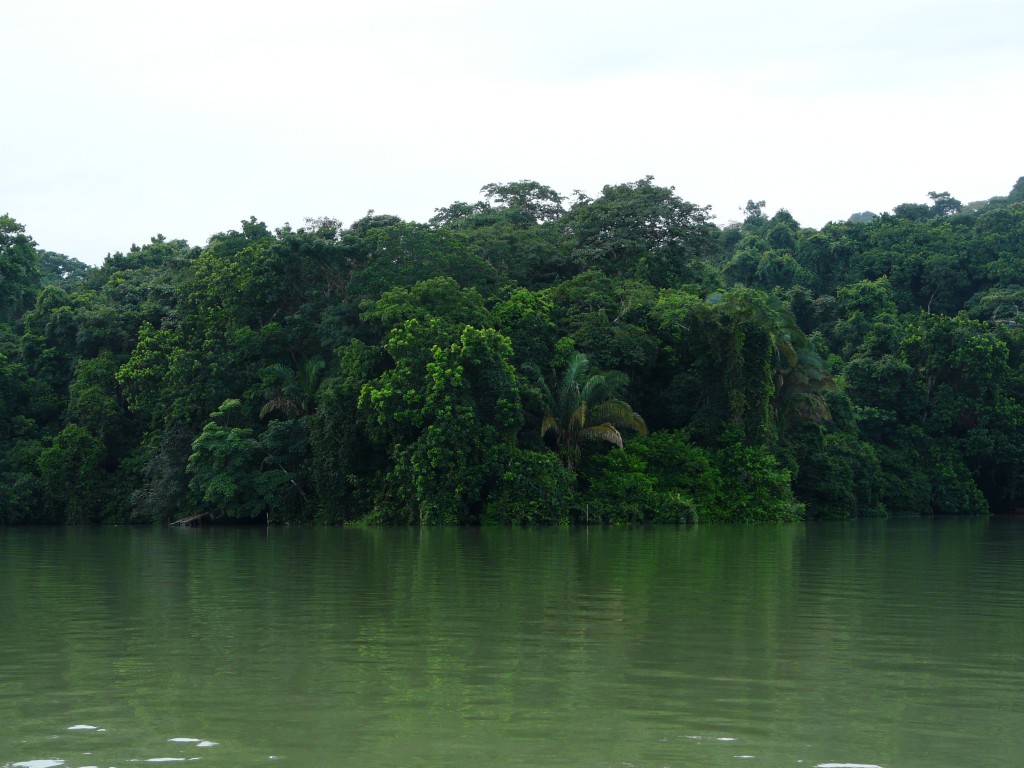 Barro Colorado Barro Colorado