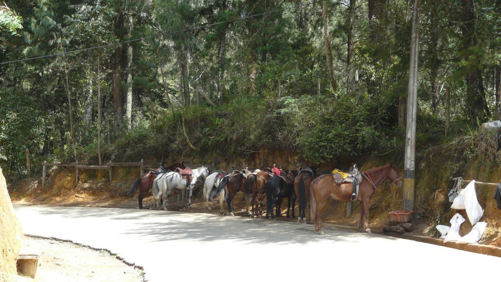 Medellin Nationalpark