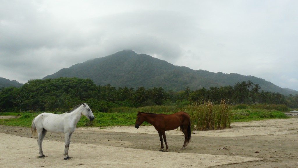 Landschaft Tayrona