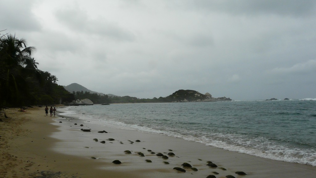 Strand