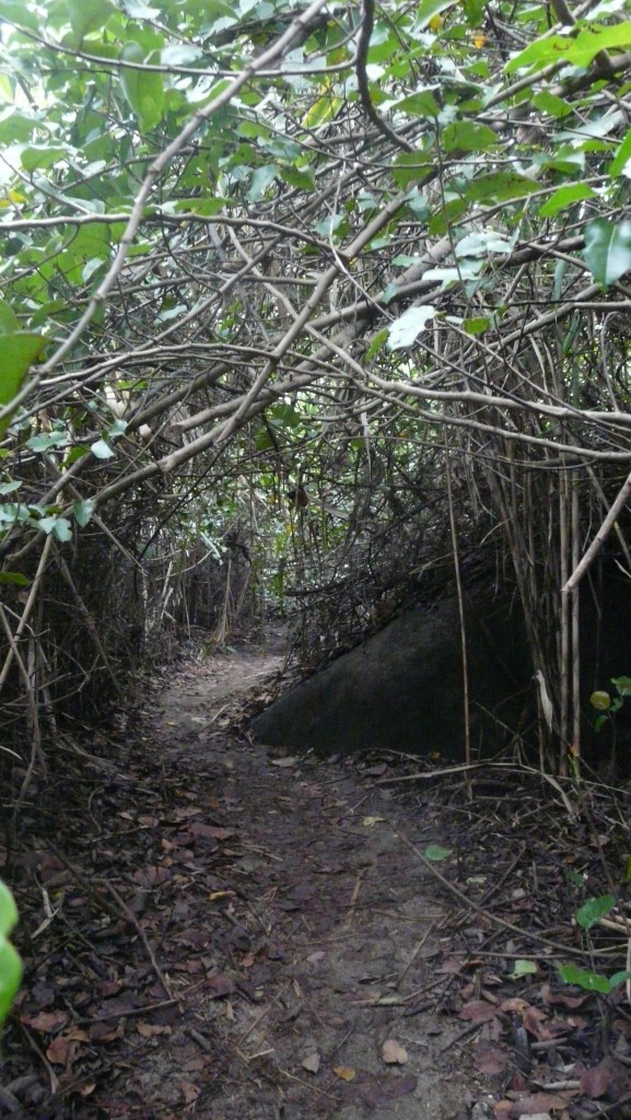 Weg Parque Tayrona