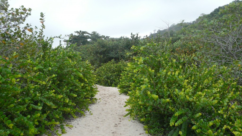 Auf dem Weg zum Sandstrand