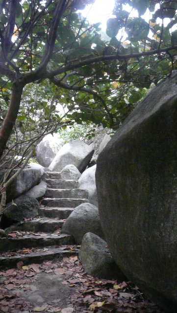Weg zur Ciudad Perdida