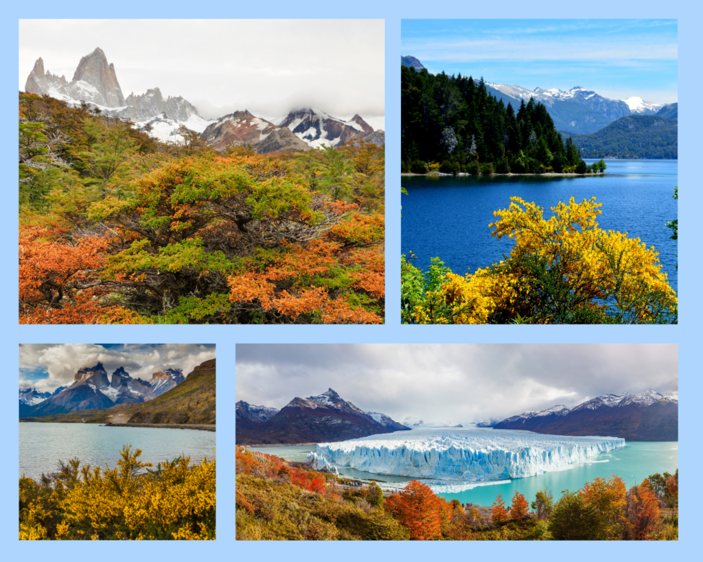 Patagonien ganz farbenfroh: Fitz Roy und Perito Moreno-Gletscher im Herbst, Lago General Carrera und Torres del Paine Nationalpark im Frühling