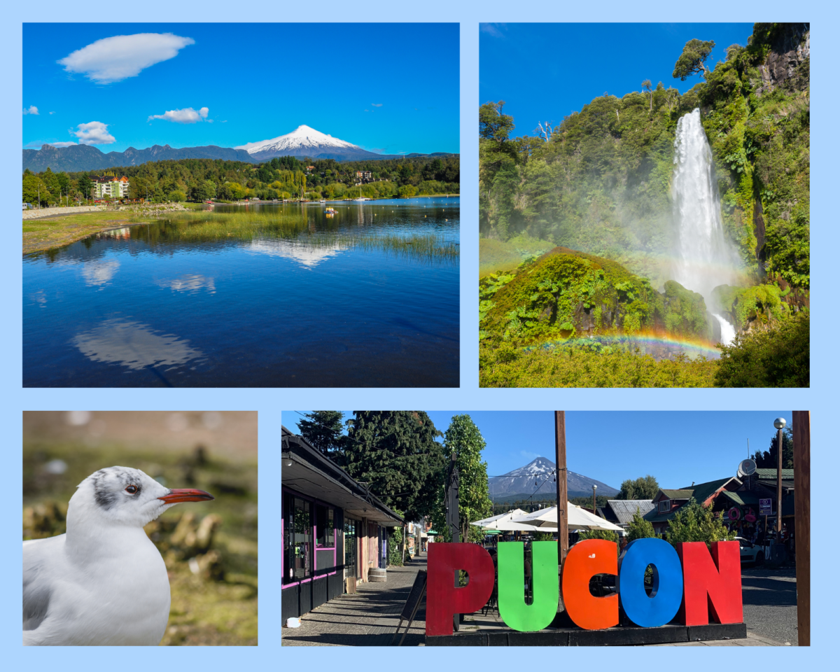 Vulkan Villarrica in der Spiegelung des Lago Villarrica (See), Nationalparkeindrücke mit einem Wasserfall und einer Möwe. Das Bunte „Pucón“ Schild in der Stadt mit dem Vulkan im Hintergrund
