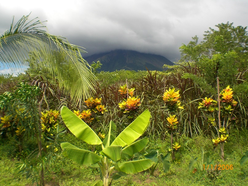 Reserva Charco Verde auf Ometepe