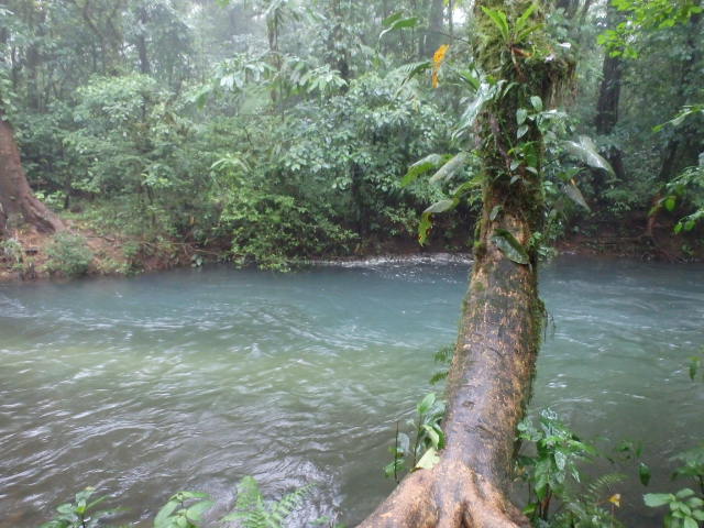 Rio Celeste