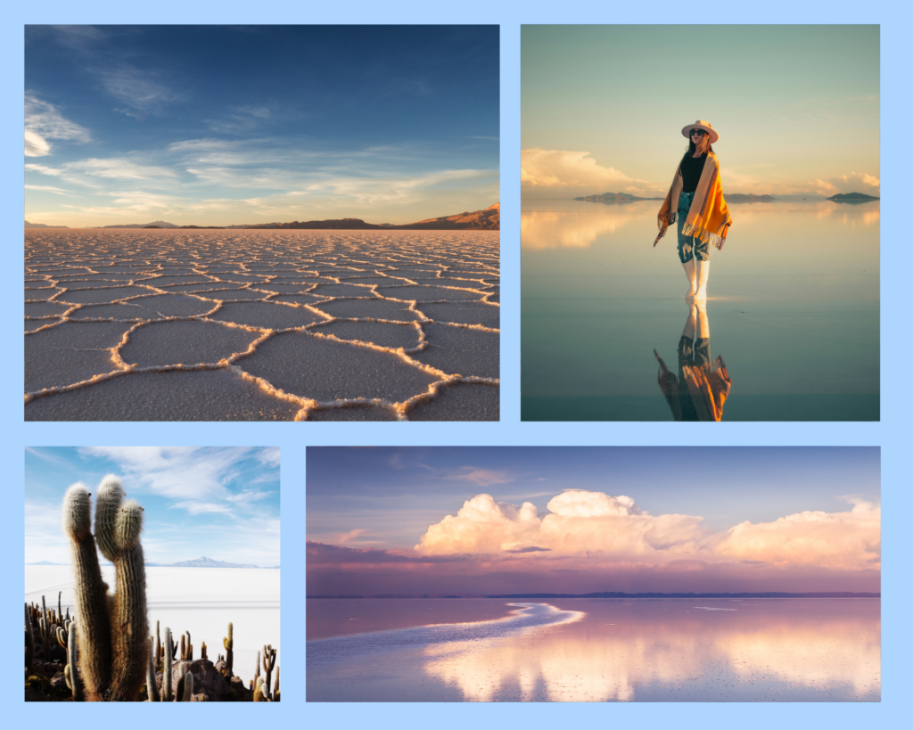 Collage mit den weißen Salzflächen des Salar de Uyuni und den Kakteen der Isla Incahuasi in Bolivien