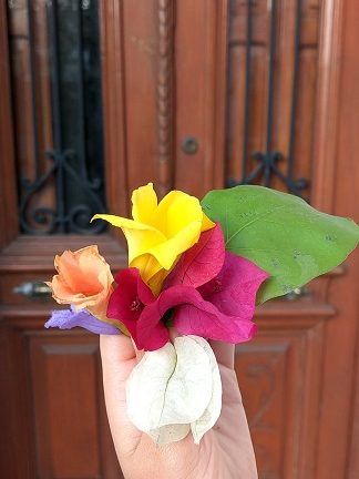 Bunte Blüten