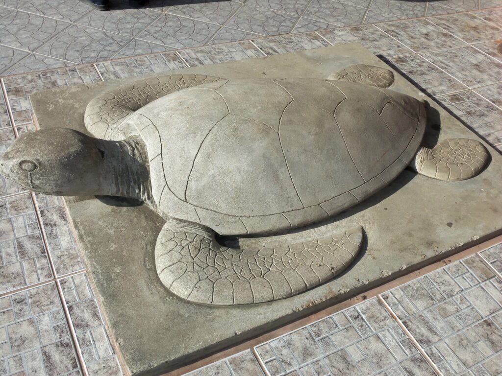 Steinschildkröte im Zentrum Tortugueros