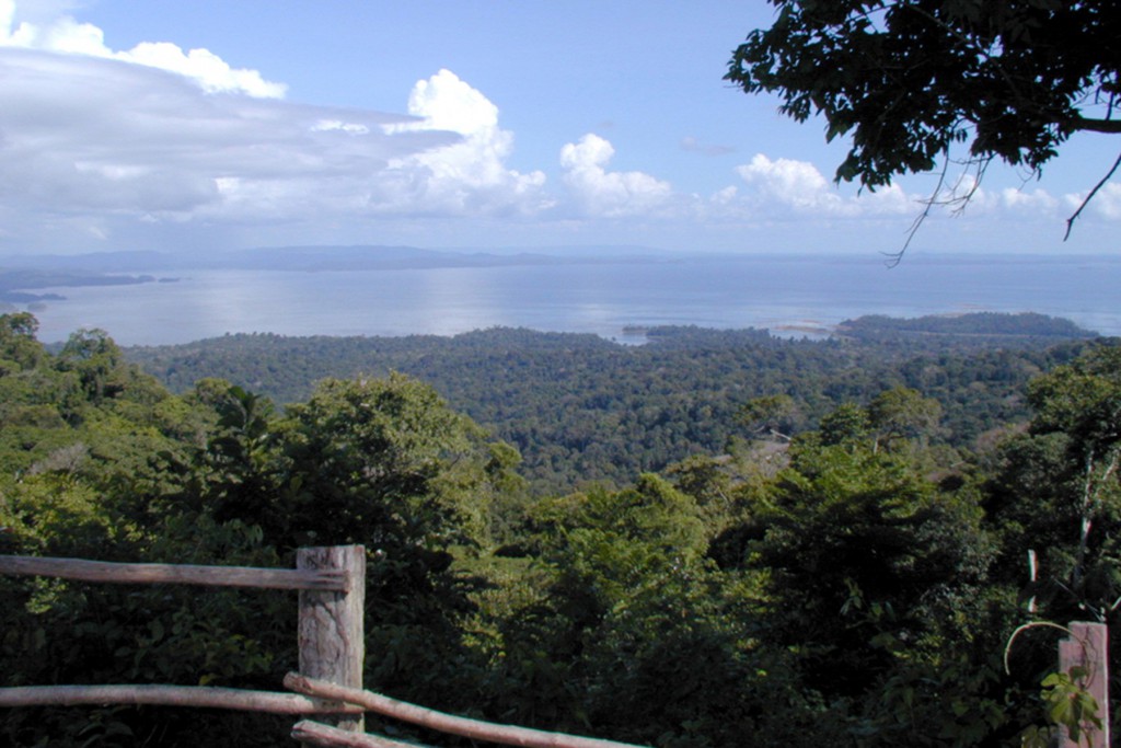 Suriname Nationalpark © Suriname Tourism Foundation
